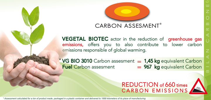 Carbon Assesment